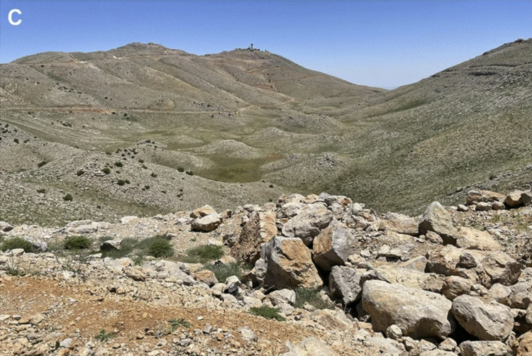 ‘Rare’ creature with ‘secretive lifestyle’ discovered as new species in Middle East