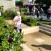 Climate activists disrupt Chelsea Flower Show