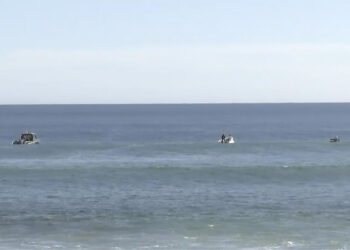 Pieces that may be from wetsuit, surfboard found after surfer attacked by shark off South Australia