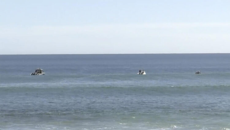 Pieces that may be from wetsuit, surfboard found after surfer attacked by shark off South Australia