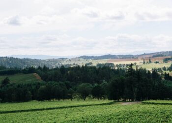 25-pound creature — a threat to ‘human hands and feet’ — found in Oregon pasture