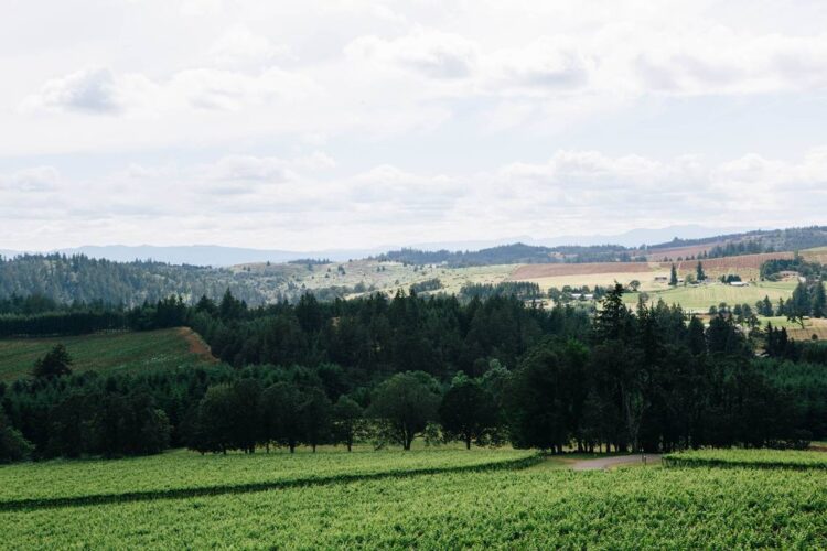 25-pound creature — a threat to ‘human hands and feet’ — found in Oregon pasture