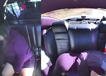 Florida traffic stop of 2 California women ends in huge marijuana bust