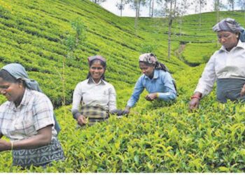 Malaiyaha Tamils | Two hundred years of struggle