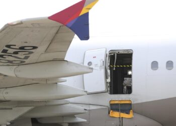 South Korean passenger plane flies with open door, lands safely
