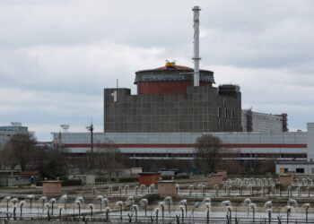 Russia-occupied nuclear plant in Ukraine cut off from power grid