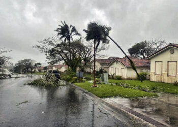 Day after Typhoon Mawar hit Guam, ‘what used to be a jungle looks like toothpicks’