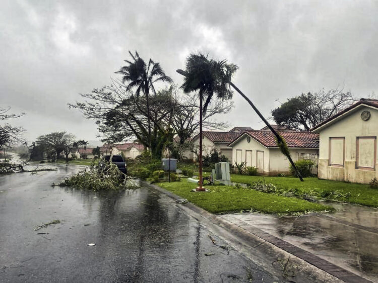 Day after Typhoon Mawar hit Guam, ‘what used to be a jungle looks like toothpicks’