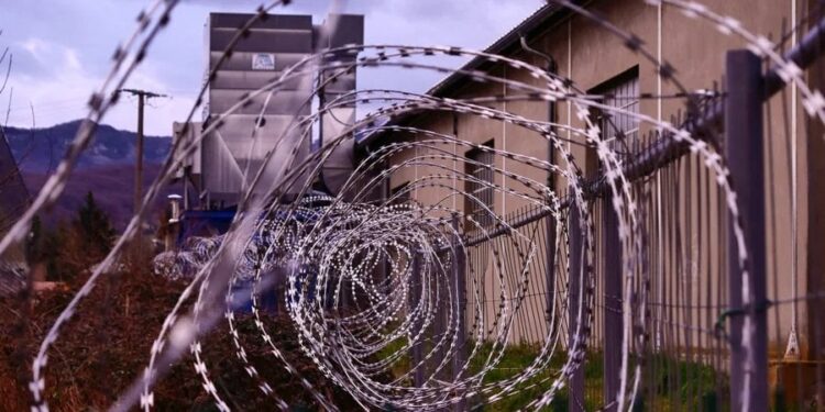 How female Ukrainian POWs are treated by Russians – eyewitness account