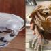 Taipei restaurant introduces ramen dish topped with giant isopod