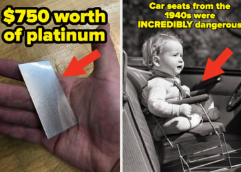 My Minuscule Little Pea Brain Is Totally Blown After Seeing These 22 Absolutely Incredible Pictures For The Very First Time Last Week