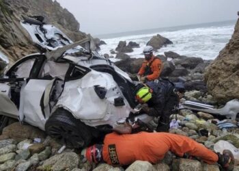 Wife says California doctor purposely drove family off cliff