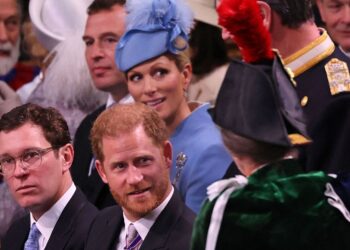 Prince Harry’s Aunt Awkwardly Blocks His View Of King Charles’ Coronation