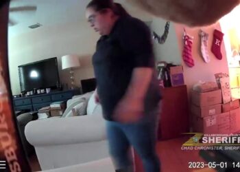 Florida woman arrested for abusing Siberian Husky