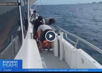 ‘Are you going to let us die?’ Boaters try to bail water, then capsize off Hollywood