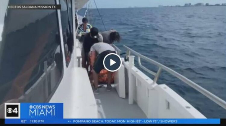 ‘Are you going to let us die?’ Boaters try to bail water, then capsize off Hollywood