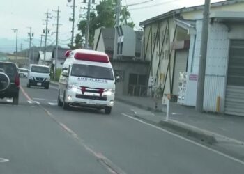 After 4 die in Japan attack, lawmaker’s son arrested