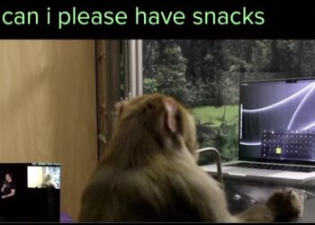 Musk’s Neuralink says the FDA approved human trials