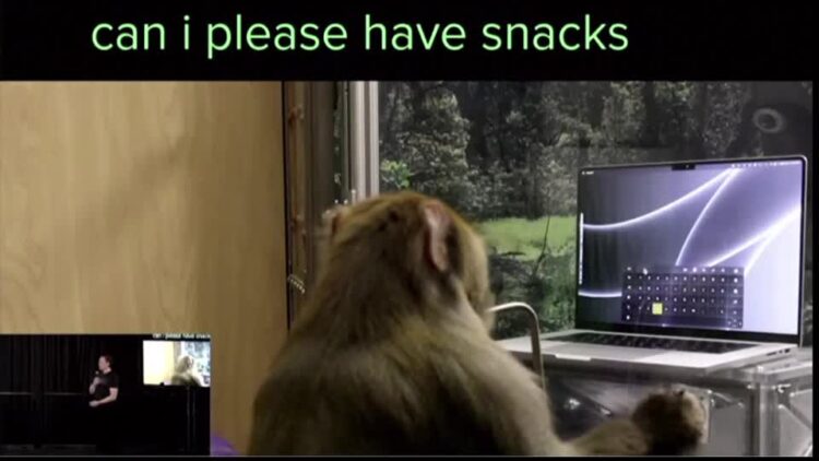 Musk’s Neuralink says the FDA approved human trials