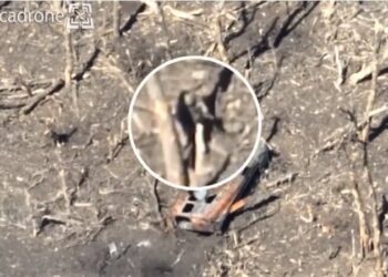 Ukrainian suicide drone operator outsmarts Russian soldier