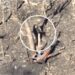 Ukrainian suicide drone operator outsmarts Russian soldier