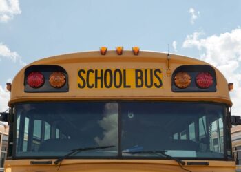 Driver swerves around stopped school bus, hits and kills student, Wisconsin cops say