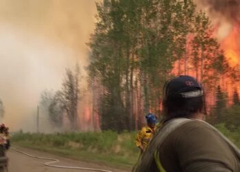 Firefighters battle giant blaze in Alberta