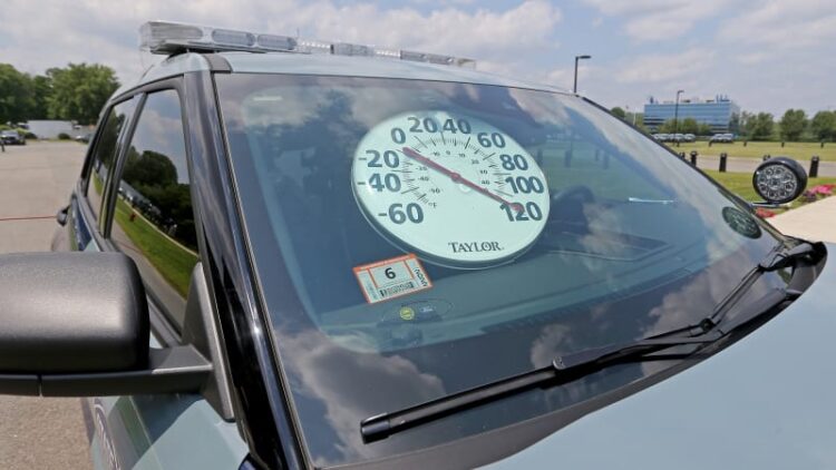 You see a dog trapped in a hot car: What are you allowed to do?
