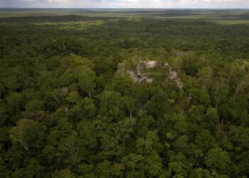 Archaeologists discover a lost world of 417 ancient Mayans cities buried in remote jungle, connected by miles of ‘superhighways,’ WaPo reports