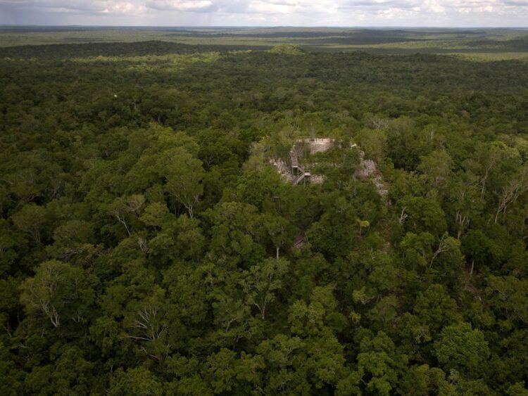 Archaeologists discover a lost world of 417 ancient Mayans cities buried in remote jungle, connected by miles of ‘superhighways,’ WaPo reports