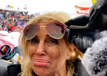 The ‘Beverly Hills Insurrectionist’ and the Big Myth About Jan. 6