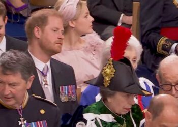 Prince Harry’s view obscured by Princess Anne’s feather