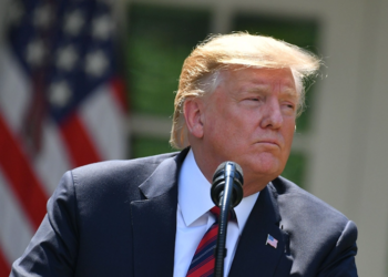 Trump pledges to end birthright citizenship on first day in office