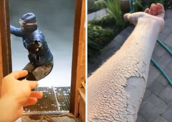 22 Nightmare Fuel Photos That Made Me Rub My Eyes A Billion Times, Because I Couldn't Believe What I Saw