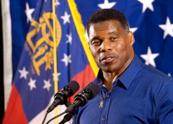 A billionaire donor gave 5,200 to Herschel Walker for his senate campaign, but it went to his personal company instead: report