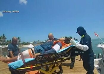 Gruesome photos show man’s leg after shark attack 70 feet underwater