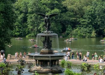 Woman who called police on Black bird-watcher faces skeptical court in employment appeal