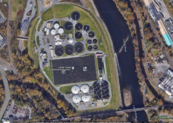 ‘Grinning’ creature lurking at wastewater plant discovered when worker spots its tail