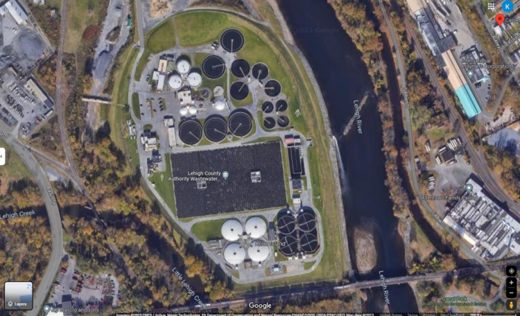 ‘Grinning’ creature lurking at wastewater plant discovered when worker spots its tail
