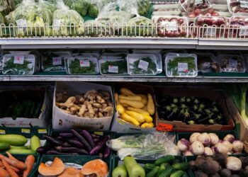 Poor GenXers without dependents targeted by US debt ceiling work requirements