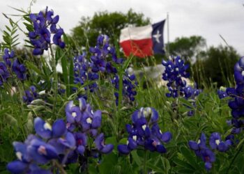 This Texas city is the fastest-growing in the nation, census data shows. What about DFW?