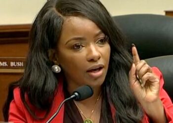 Freshman Democrat Hits Republicans With 2 Painful Truths In House Hearing On Crime