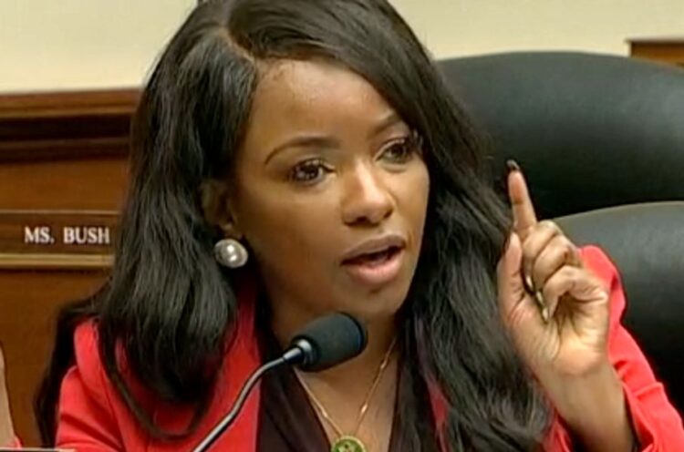 Freshman Democrat Hits Republicans With 2 Painful Truths In House Hearing On Crime