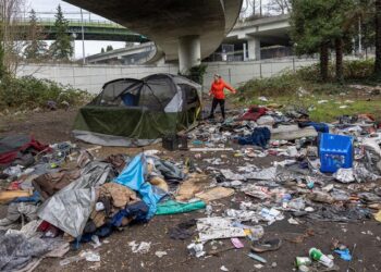 Seattle business owner suspects ‘criminal masterminds’ for 11 break-ins, blames ‘far left’ city council