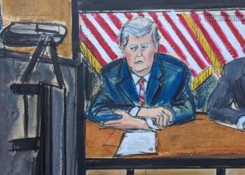 Trump appears virtually for court