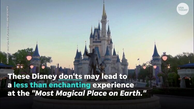 Disney discourages these things inside their parks and resorts