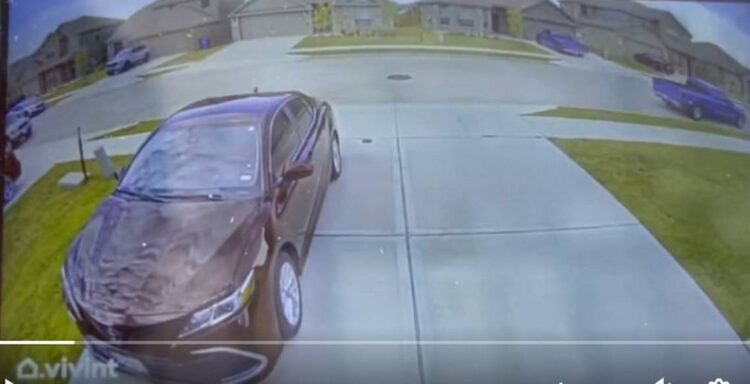 ‘I had to pull her from his arms:’ North Texas parents rescue 2-year-old from kidnapper