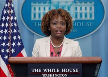 White House to review ruling that press secretary violated act on political activity