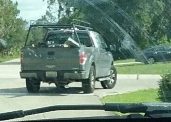 Florida driver caught on video dragging dog nearly half a mile is identified