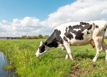 ‘An imminent and substantial threat to health’